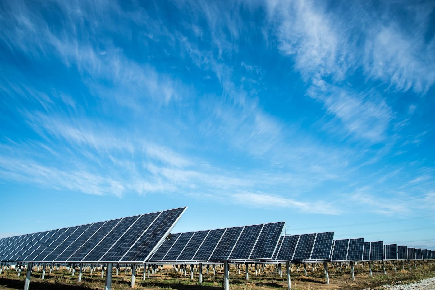 PV co-location project — greentech × phelas